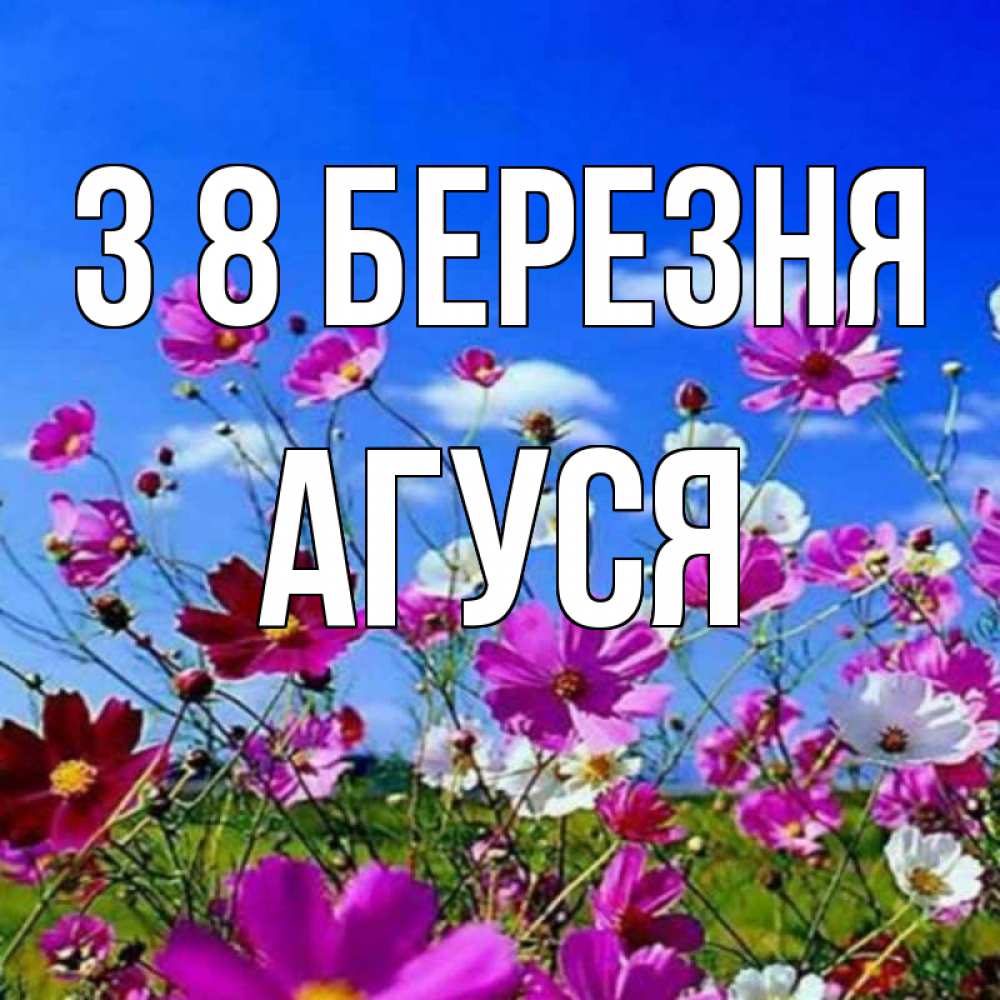 Открытка на каждый день з підписом, Агуся З 8 БЕРЕЗНЯ цветы Прикольна листівка з побажанням онлайн скачати безкоштовно 