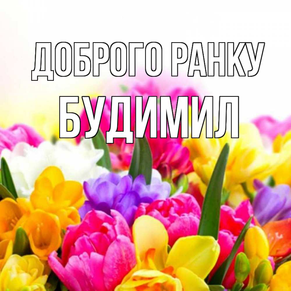 Открытка на каждый день з підписом, Будимил Доброго ранку создать открытку со свое подписью Прикольна листівка з побажанням онлайн скачати безкоштовно 