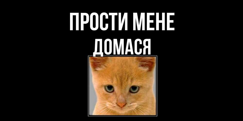 Открытка на каждый день з підписом, Домася Прости мене рыжий грустный кот просит прощения Прикольна листівка з побажанням онлайн скачати безкоштовно 