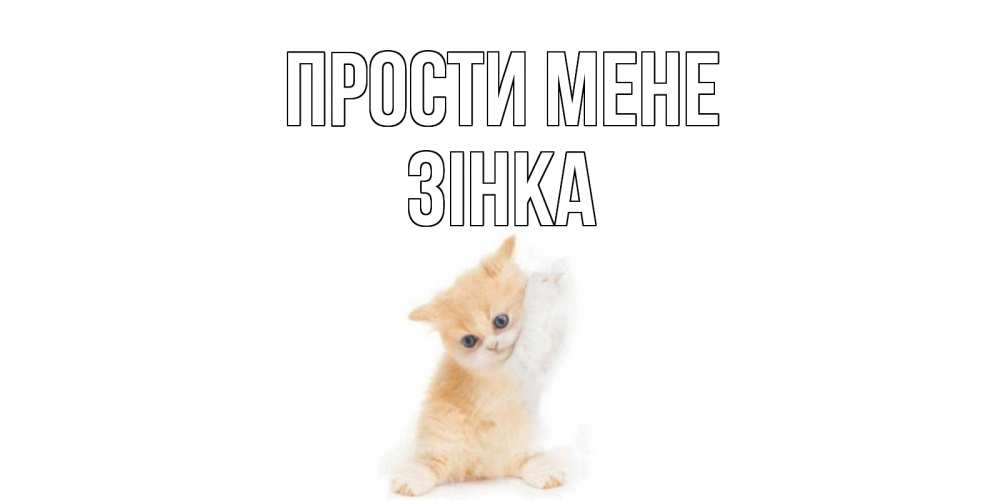 Открытка на каждый день з підписом, Зінка Прости мене кот Прикольна листівка з побажанням онлайн скачати безкоштовно 