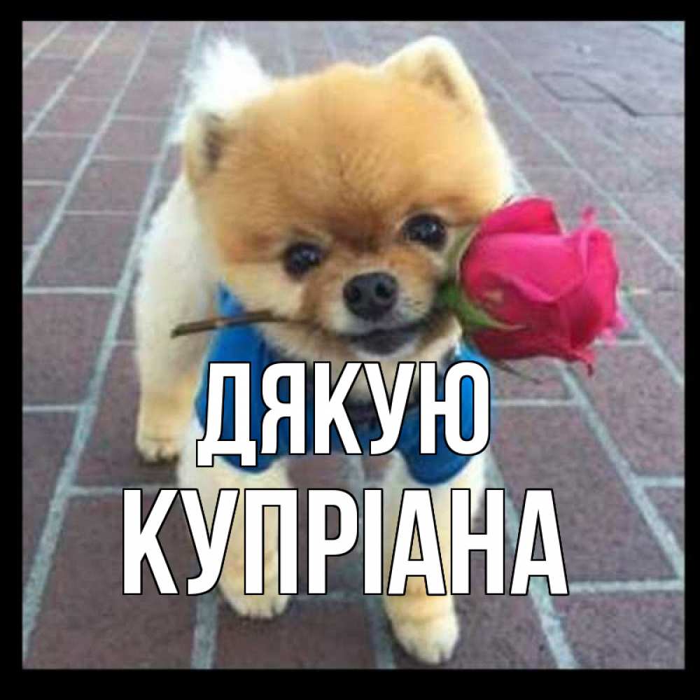 Открытка на каждый день з підписом, Купріана Дякую спасибо и дарю тебе цветок Прикольна листівка з побажанням онлайн скачати безкоштовно 