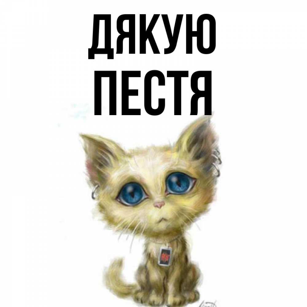 Открытка на каждый день з підписом, Пестя Дякую рисованный кот благодарит вас Прикольна листівка з побажанням онлайн скачати безкоштовно 