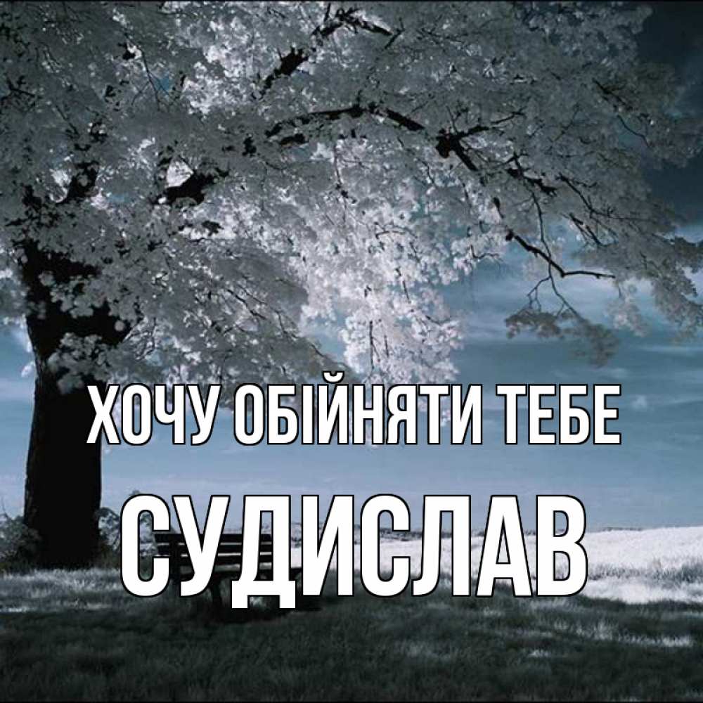 Открытка на каждый день з підписом, Судислав Хочу обійняти тебе дерево Прикольна листівка з побажанням онлайн скачати безкоштовно 