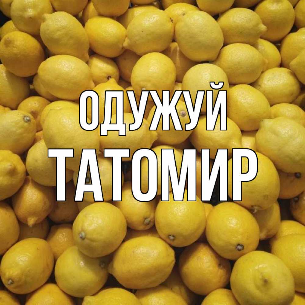 Открытка на каждый день з підписом, Татомир Одужуй это точно поможет Прикольна листівка з побажанням онлайн скачати безкоштовно 