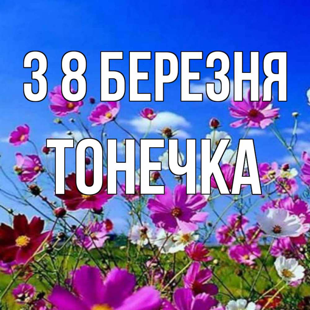 Открытка на каждый день з підписом, Тонечка З 8 БЕРЕЗНЯ цветы Прикольна листівка з побажанням онлайн скачати безкоштовно 