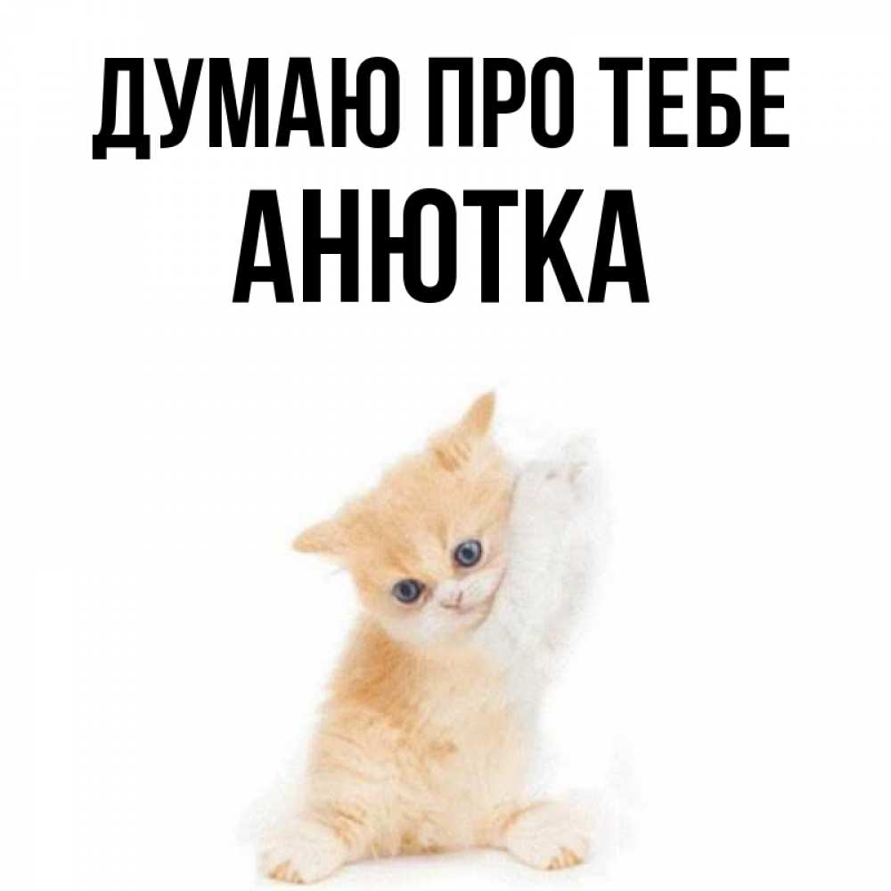 Открытка на каждый день з підписом, Анютка Думаю про тебе зверушки и милота Прикольна листівка з побажанням онлайн скачати безкоштовно 