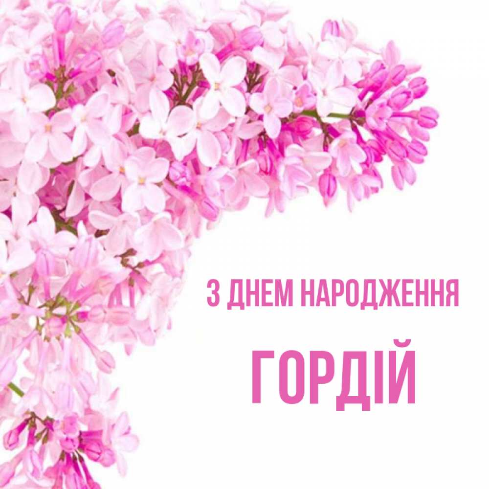 Открытка на каждый день з підписом, Гордій З Днем народження Сирень на белом фоне Прикольна листівка з побажанням онлайн скачати безкоштовно 