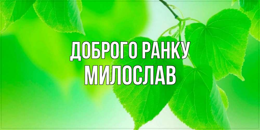 Открытка на каждый день з підписом, Милослав Доброго ранку доброе утро с березовыми листьями Прикольна листівка з побажанням онлайн скачати безкоштовно 