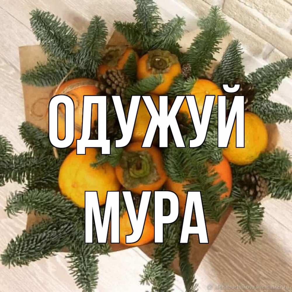 Открытка на каждый день з підписом, Мура Одужуй апельсины и хурьма Прикольна листівка з побажанням онлайн скачати безкоштовно 