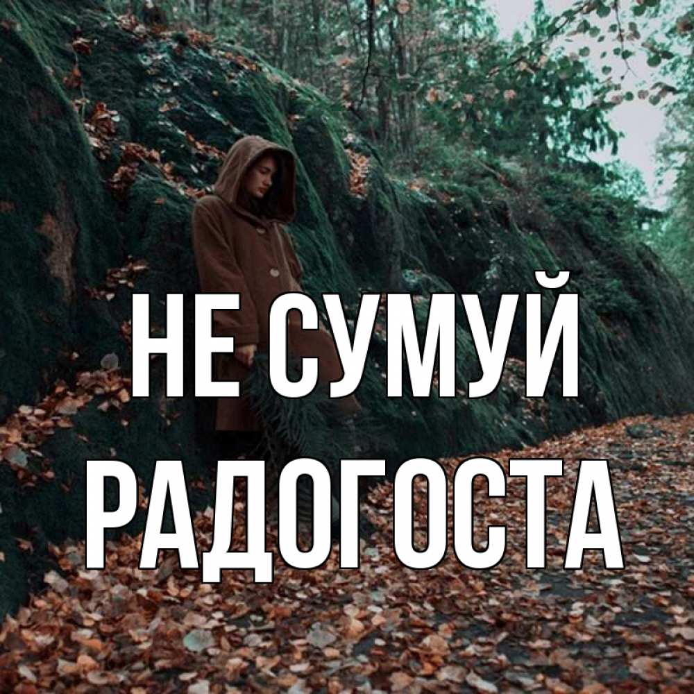 Открытка на каждый день з підписом, Радогоста Не сумуй осенний лес Прикольна листівка з побажанням онлайн скачати безкоштовно 