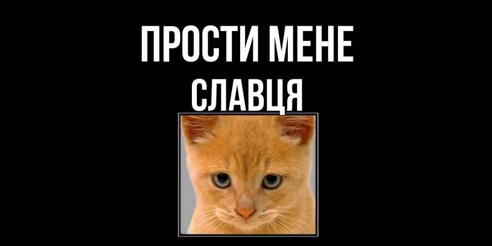 Открытка на каждый день з підписом, Славця Прости мене рыжий грустный кот просит прощения Прикольна листівка з побажанням онлайн скачати безкоштовно 