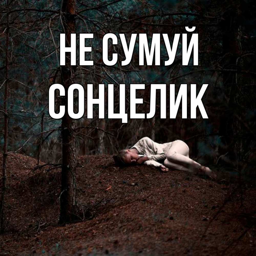 Открытка на каждый день з підписом, Сонцелик Не сумуй лес Прикольна листівка з побажанням онлайн скачати безкоштовно 