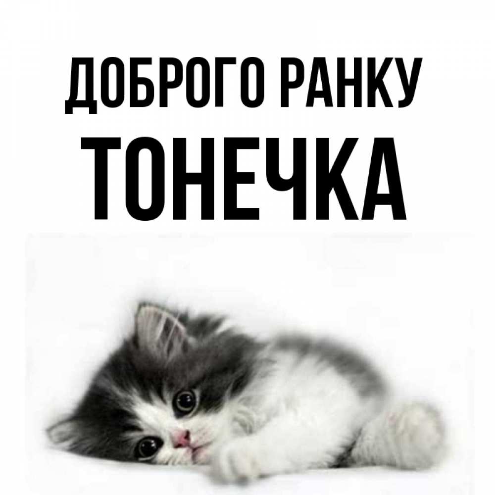 Открытка на каждый день з підписом, Тонечка Доброго ранку кот лапки Прикольна листівка з побажанням онлайн скачати безкоштовно 