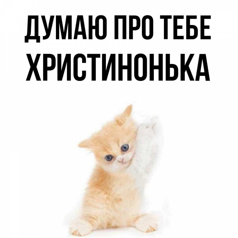 Открытка на каждый день з підписом, Христинонька Думаю про тебе зверушки и милота Прикольна листівка з побажанням онлайн скачати безкоштовно 