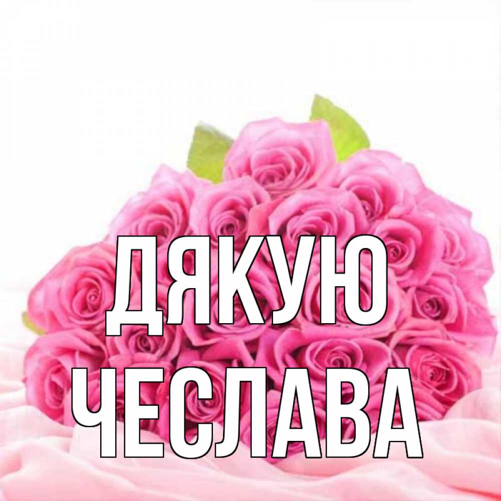Открытка на каждый день з підписом, Чеслава Дякую розовые розы с подписью Прикольна листівка з побажанням онлайн скачати безкоштовно 