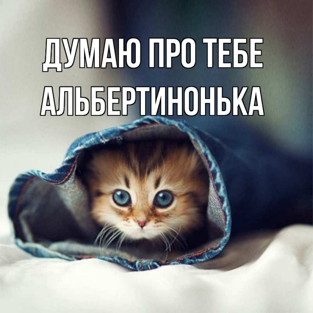 Открытка на каждый день з підписом, Альбертинонька Думаю про тебе мне без тебя плохо Прикольна листівка з побажанням онлайн скачати безкоштовно 