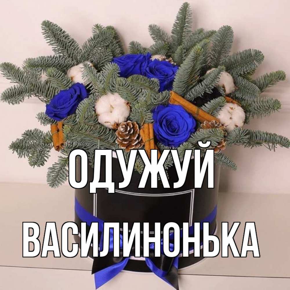 Открытка на каждый день з підписом, Василинонька Одужуй короче кто то загрузил эти шишки Прикольна листівка з побажанням онлайн скачати безкоштовно 