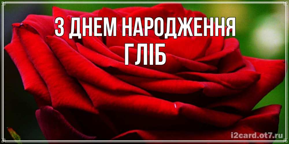 Открытка на каждый день з підписом, Гліб З Днем народження розочка очень красивая Прикольна листівка з побажанням онлайн скачати безкоштовно 