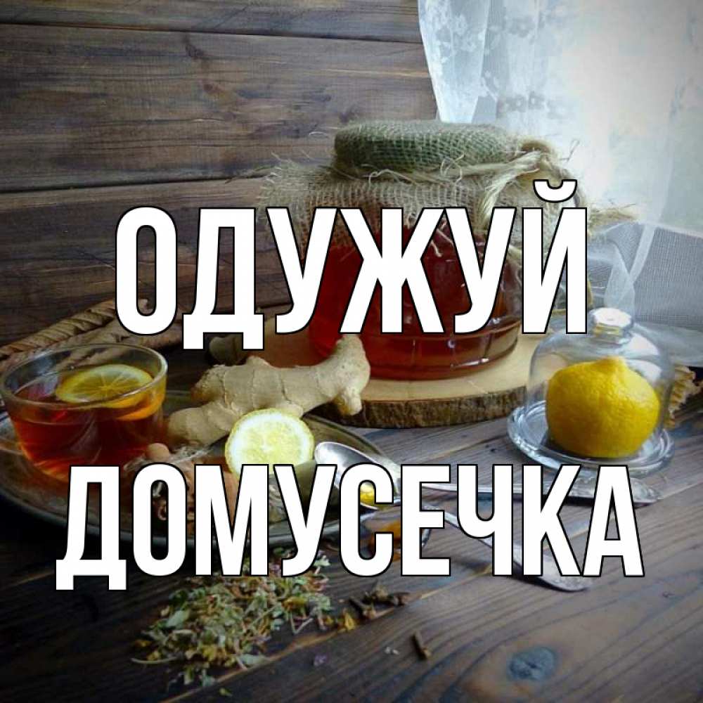Открытка на каждый день з підписом, Домусечка Одужуй банка с медом Прикольна листівка з побажанням онлайн скачати безкоштовно 