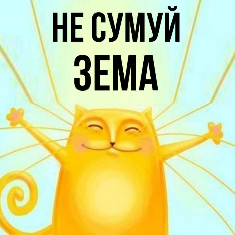 Открытка на каждый день з підписом, Зема Не сумуй обнимашки усатые Прикольна листівка з побажанням онлайн скачати безкоштовно 