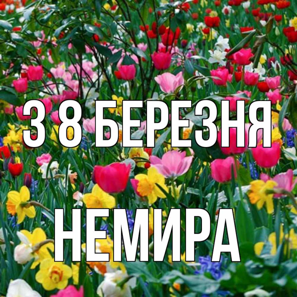 Открытка на каждый день з підписом, Немира З 8 БЕРЕЗНЯ с международным женским днем поздравления для женщины Прикольна листівка з побажанням онлайн скачати безкоштовно 