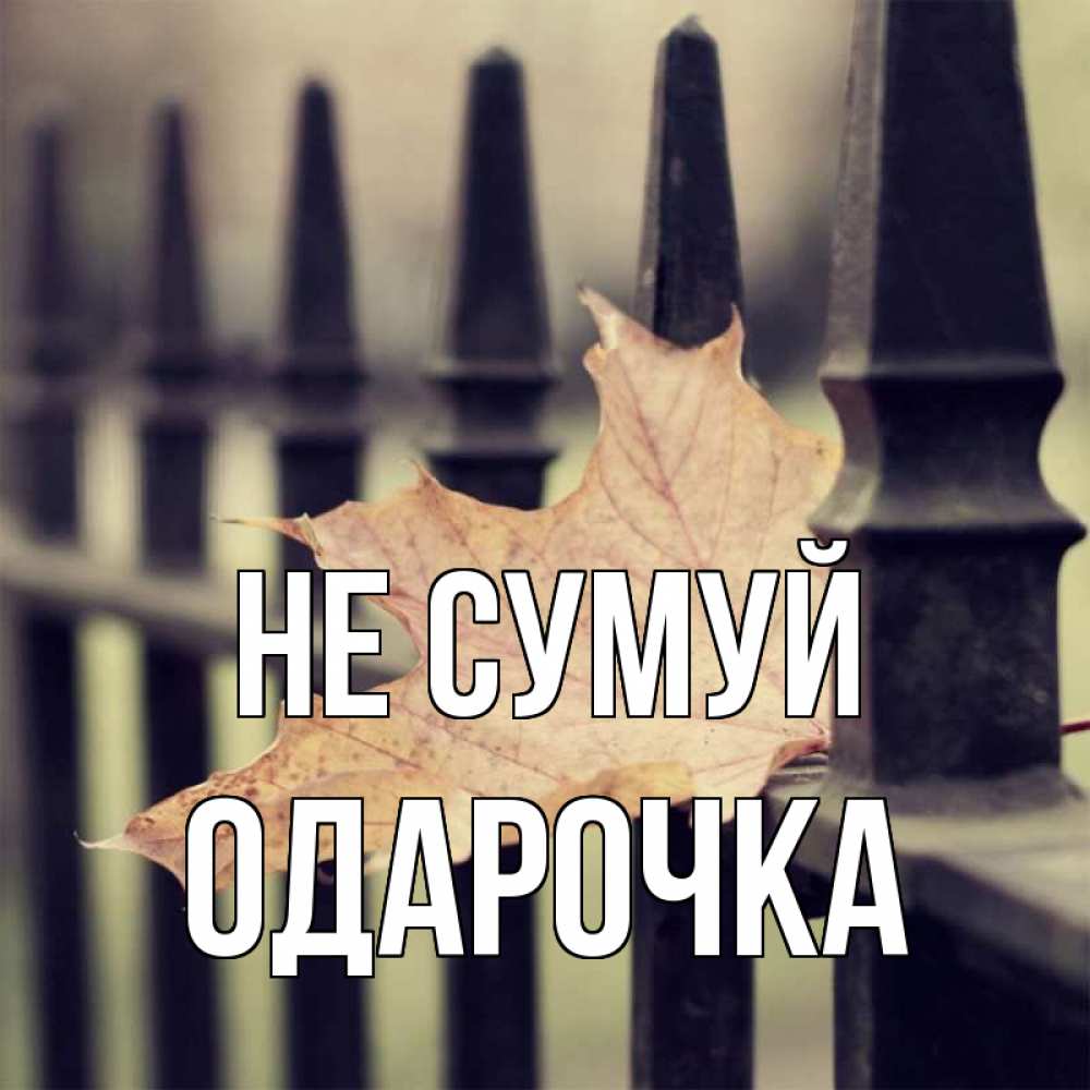 Открытка на каждый день з підписом, Одарочка Не сумуй лист клена Прикольна листівка з побажанням онлайн скачати безкоштовно 
