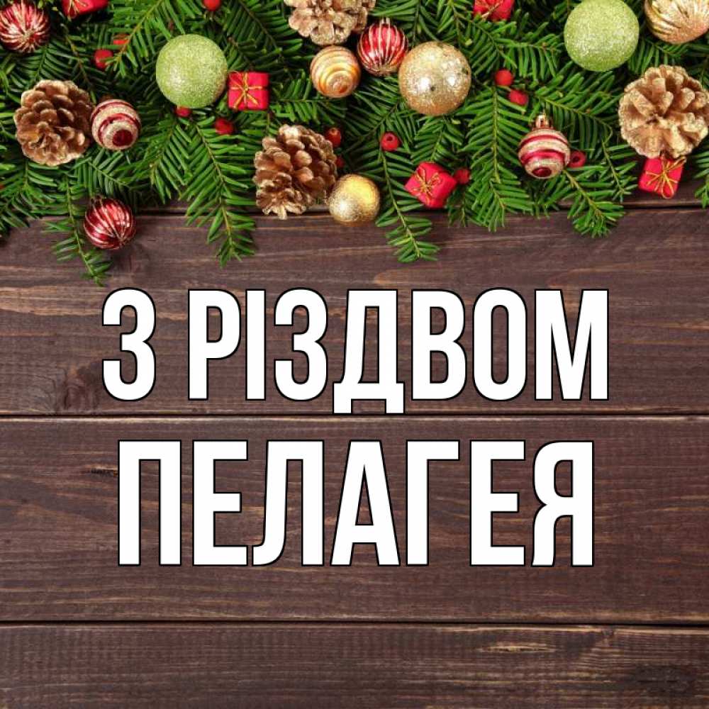 Открытка на каждый день з підписом, Пелагея З Різдвом с рождеством Прикольна листівка з побажанням онлайн скачати безкоштовно 