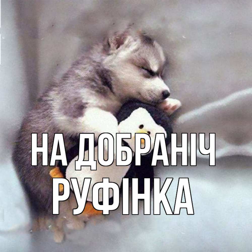Открытка на каждый день з підписом, Руфінка На добраніч обнимашки щенка и пингвина Прикольна листівка з побажанням онлайн скачати безкоштовно 