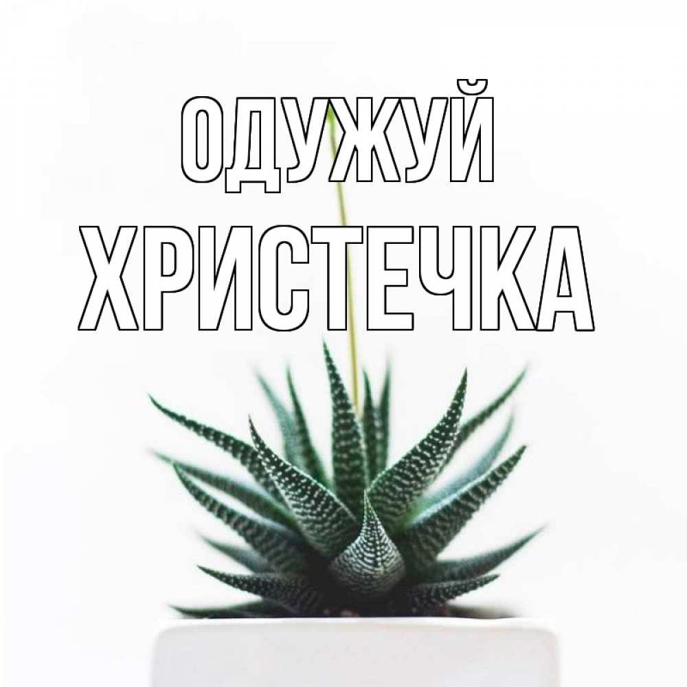 Открытка на каждый день з підписом, Христечка Одужуй короче это непонятная колючка Прикольна листівка з побажанням онлайн скачати безкоштовно 
