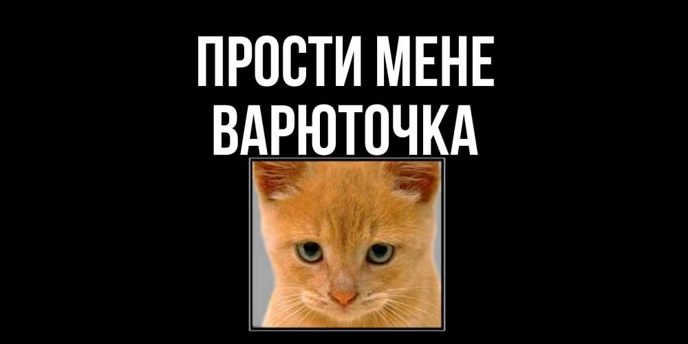 Открытка на каждый день з підписом, Варюточка Прости мене рыжий грустный кот просит прощения Прикольна листівка з побажанням онлайн скачати безкоштовно 
