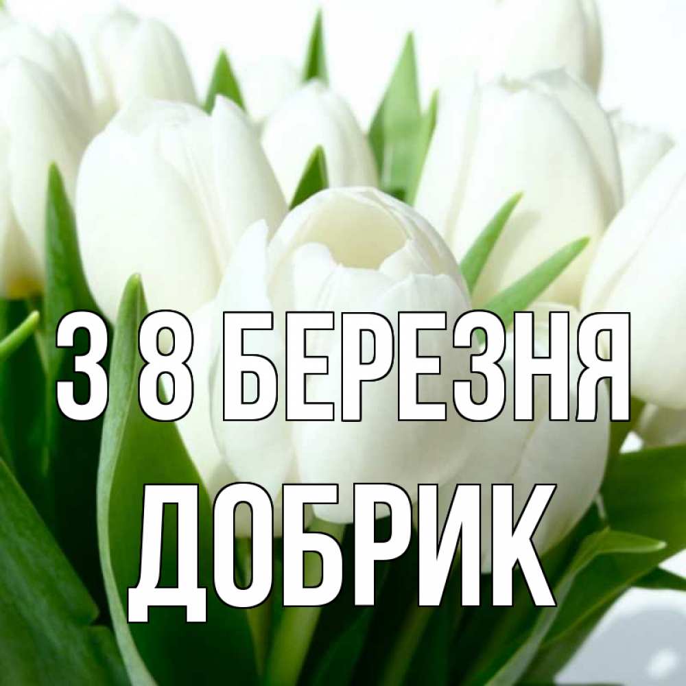Открытка на каждый день з підписом, Добрик З 8 БЕРЕЗНЯ цветы Прикольна листівка з побажанням онлайн скачати безкоштовно 