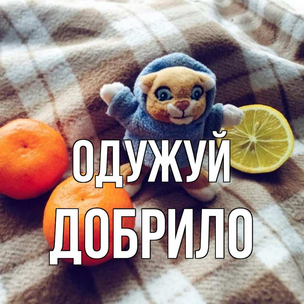Открытка на каждый день з підписом, Добрило Одужуй вот тебе апельсинка и лимон Прикольна листівка з побажанням онлайн скачати безкоштовно 