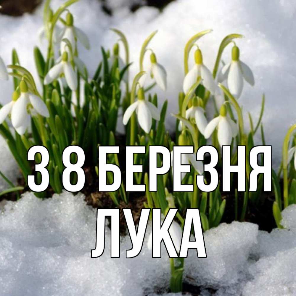 Открытка на каждый день з підписом, Лука З 8 БЕРЕЗНЯ цветы весенние Прикольна листівка з побажанням онлайн скачати безкоштовно 