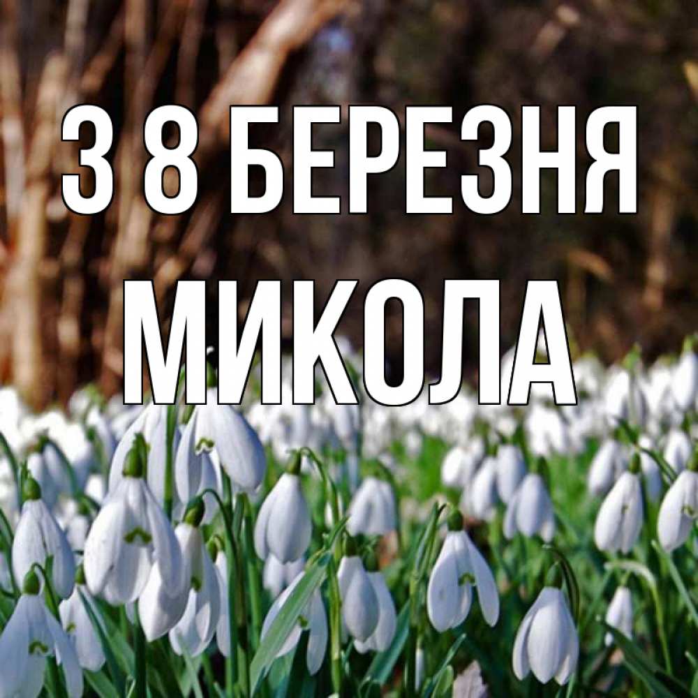 Открытка на каждый день з підписом, Микола З 8 БЕРЕЗНЯ с подснежниками 1 Прикольна листівка з побажанням онлайн скачати безкоштовно 