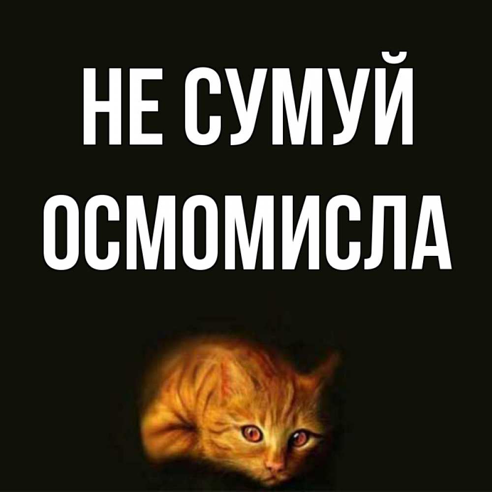 Открытка на каждый день з підписом, Осмомисла Не сумуй лежащий кот в темноте Прикольна листівка з побажанням онлайн скачати безкоштовно 