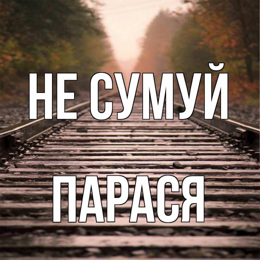 Открытка на каждый день з підписом, Парася Не сумуй лес и железная дорога Прикольна листівка з побажанням онлайн скачати безкоштовно 