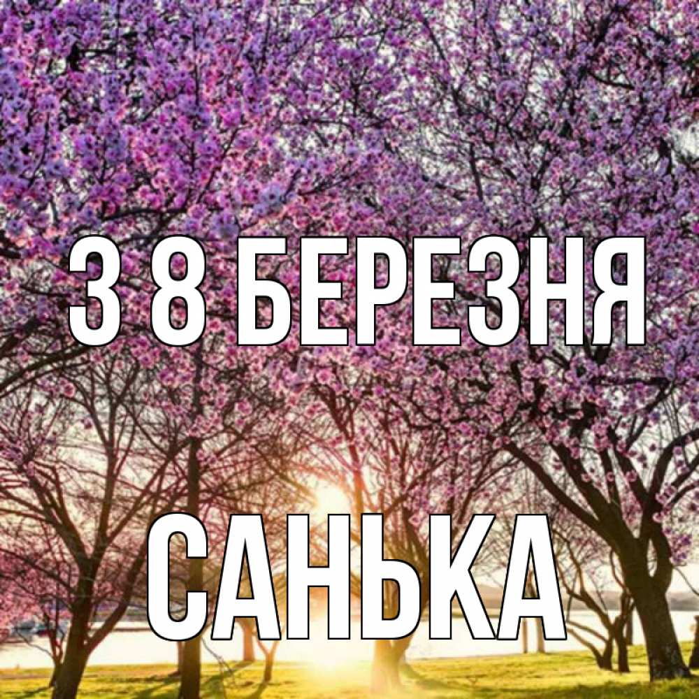 Открытка на каждый день з підписом, Санька З 8 БЕРЕЗНЯ международный женский день Прикольна листівка з побажанням онлайн скачати безкоштовно 