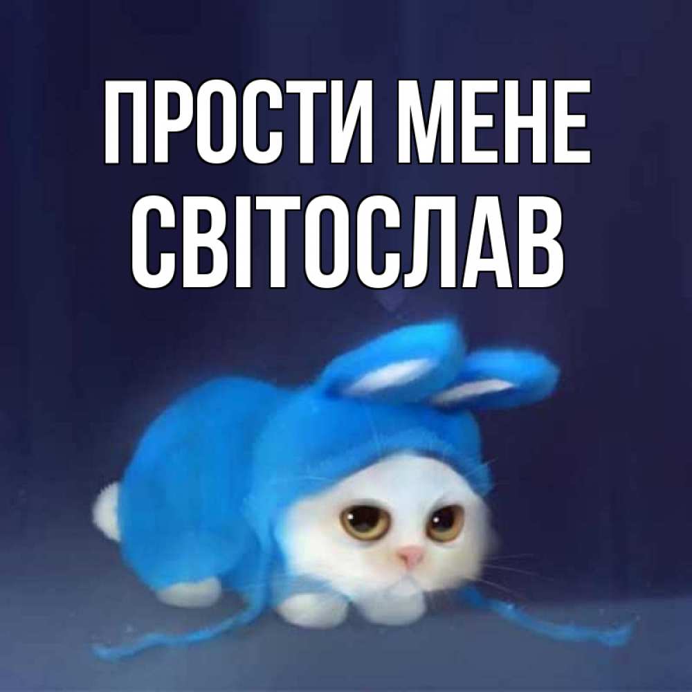 Открытка на каждый день з підписом, Світослав Прости мене невинный котозай просит прощения Прикольна листівка з побажанням онлайн скачати безкоштовно 