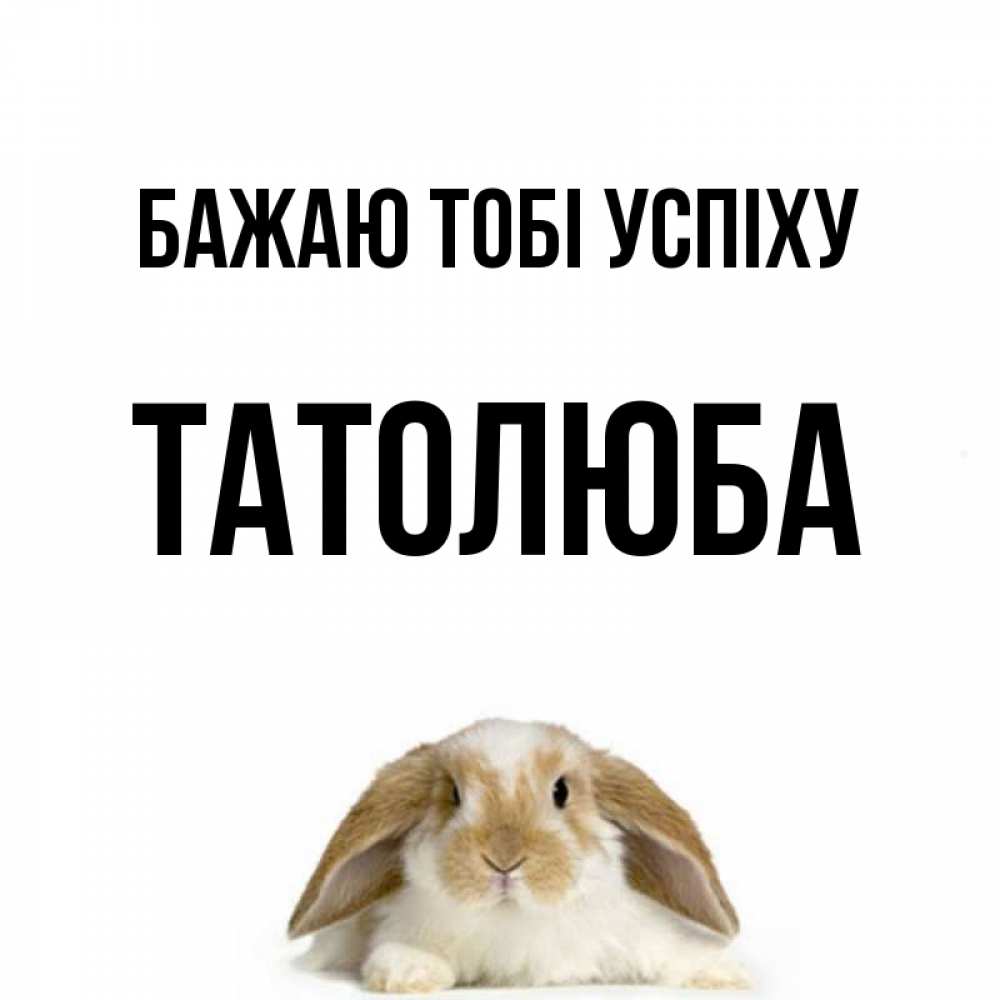 Открытка на каждый день з підписом, Татолюба Бажаю тобі успіху открытки с произвольным текстом который можно вставить в открытку и создать ее самостоятельно бесплатно онлайн Прикольна листівка з побажанням онлайн скачати безкоштовно 