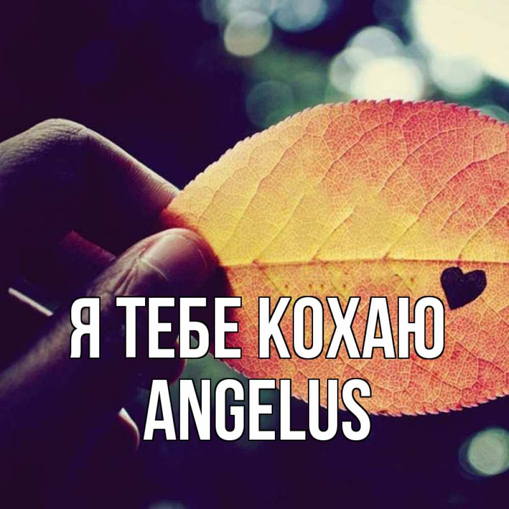 Открытка на каждый день з підписом, Angelus Я тебе кохаю держу лист Прикольна листівка з побажанням онлайн скачати безкоштовно 