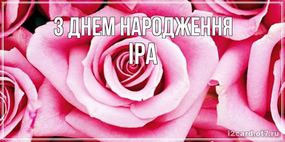 Открытка на каждый день з підписом, Іра З Днем народження открытка с розовой розой на день рождения Прикольна листівка з побажанням онлайн скачати безкоштовно 