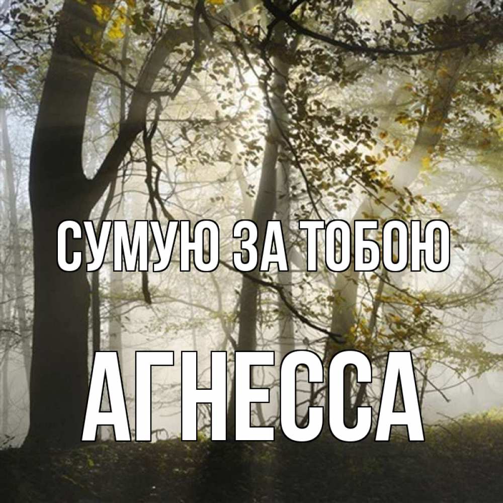 Открытка на каждый день з підписом, Агнесса Сумую за тобою грустно Прикольна листівка з побажанням онлайн скачати безкоштовно 
