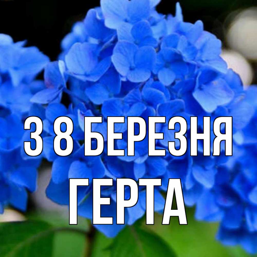 Открытка на каждый день з підписом, Герта З 8 БЕРЕЗНЯ синие цветы Прикольна листівка з побажанням онлайн скачати безкоштовно 