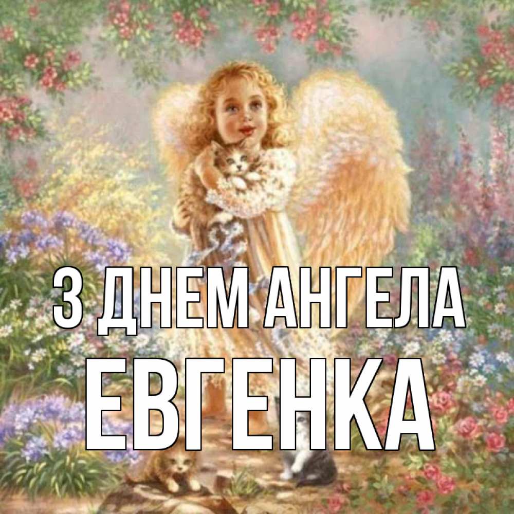 Открытка на каждый день з підписом, Евгенка З Днем ангела держит котенка Прикольна листівка з побажанням онлайн скачати безкоштовно 