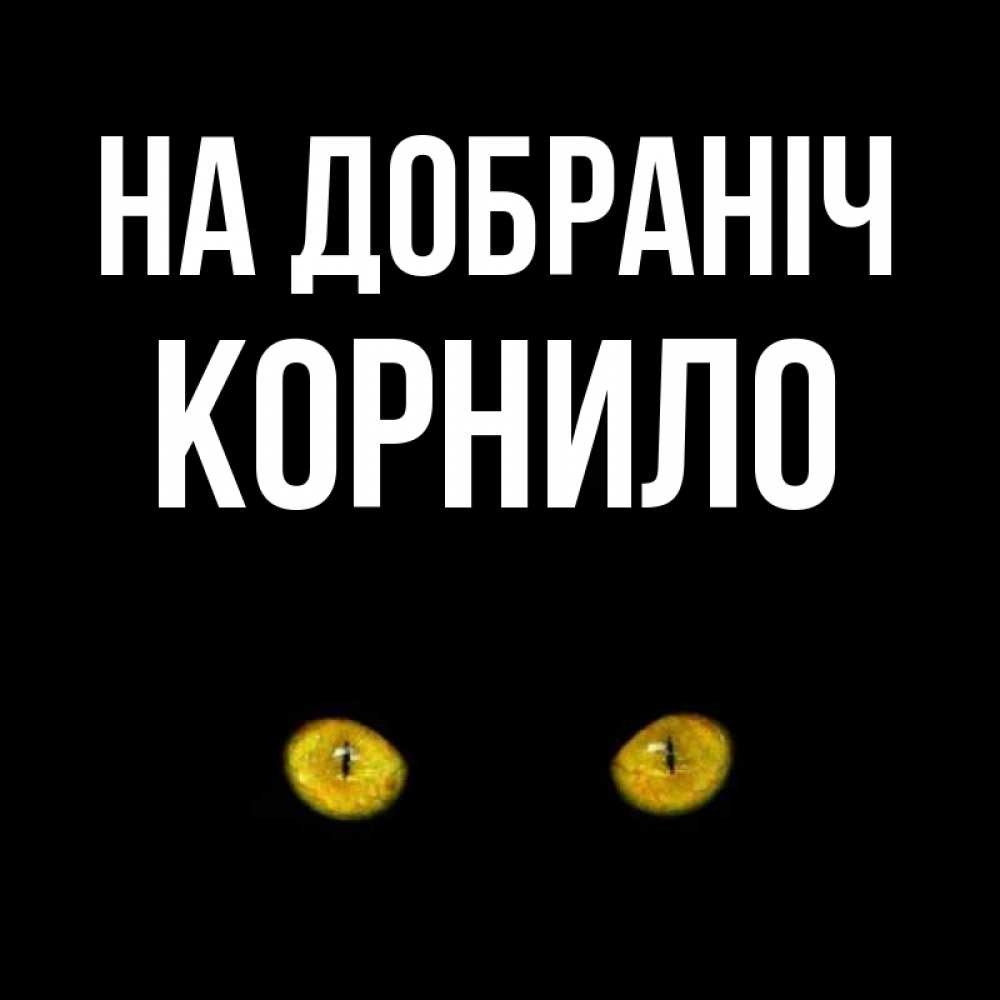 Открытка на каждый день з підписом, Корнило На добраніч сладких снов бесстрашный мой дружочек Прикольна листівка з побажанням онлайн скачати безкоштовно 