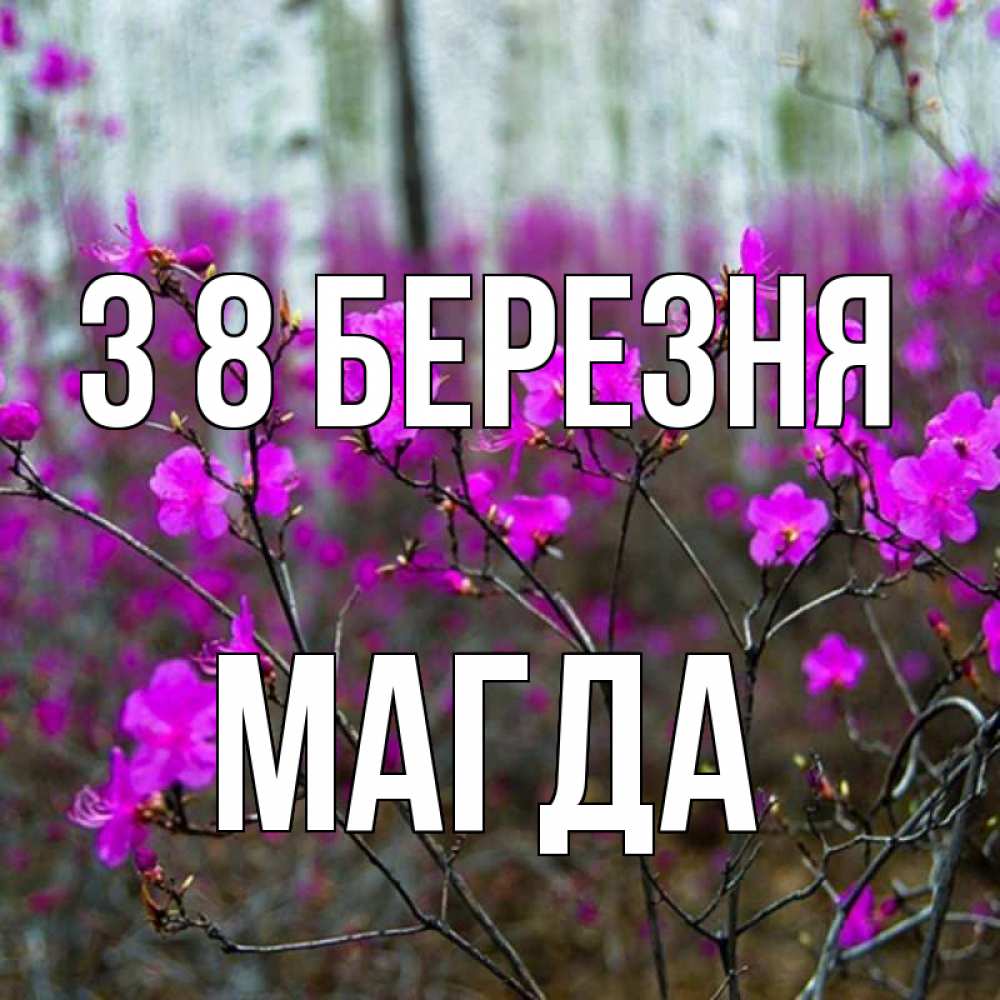 Открытка на каждый день з підписом, Магда З 8 БЕРЕЗНЯ дикие цветы Прикольна листівка з побажанням онлайн скачати безкоштовно 