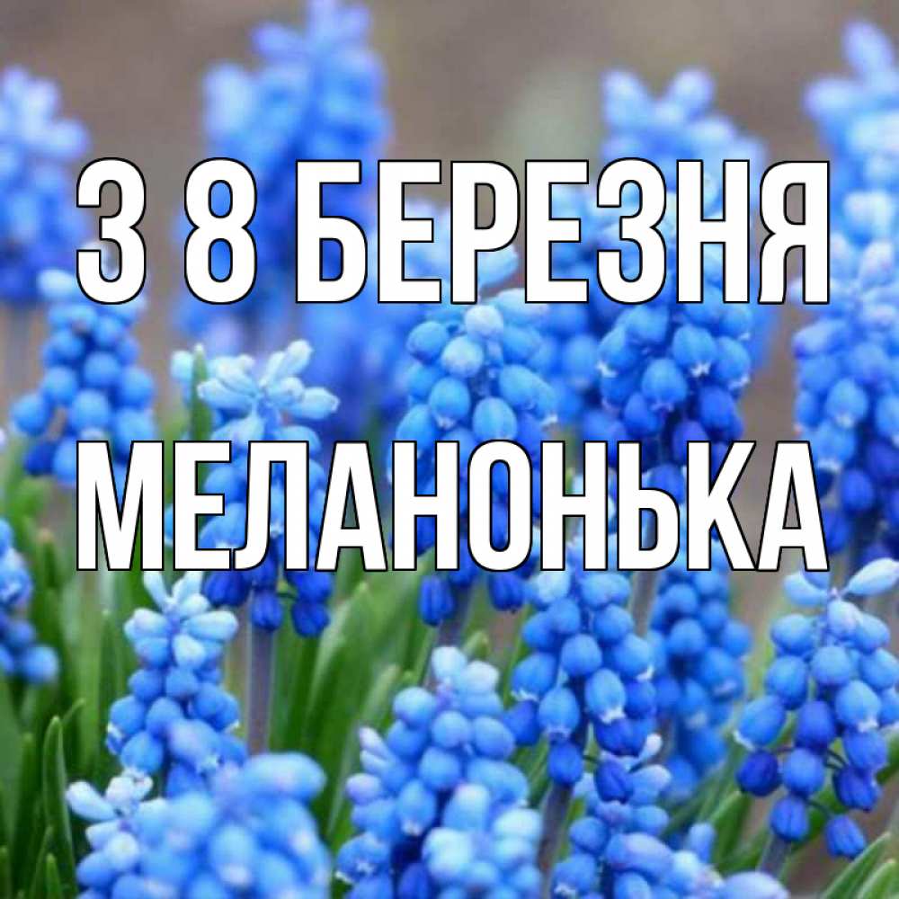 Открытка на каждый день з підписом, Меланонька З 8 БЕРЕЗНЯ Поздравительная открытка для женщин с цветами на праздничную дату Прикольна листівка з побажанням онлайн скачати безкоштовно 