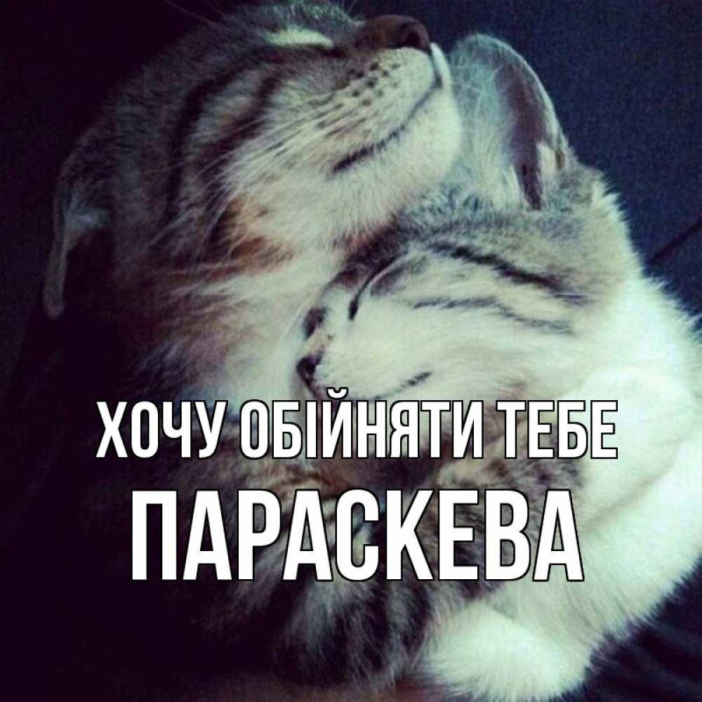 Открытка на каждый день з підписом, Параскева Хочу обійняти тебе полосатики Прикольна листівка з побажанням онлайн скачати безкоштовно 