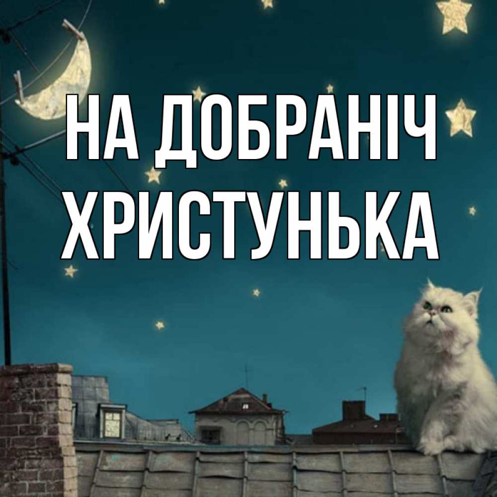 Открытка на каждый день з підписом, Христунька На добраніч белый кот сидит на крыше Прикольна листівка з побажанням онлайн скачати безкоштовно 