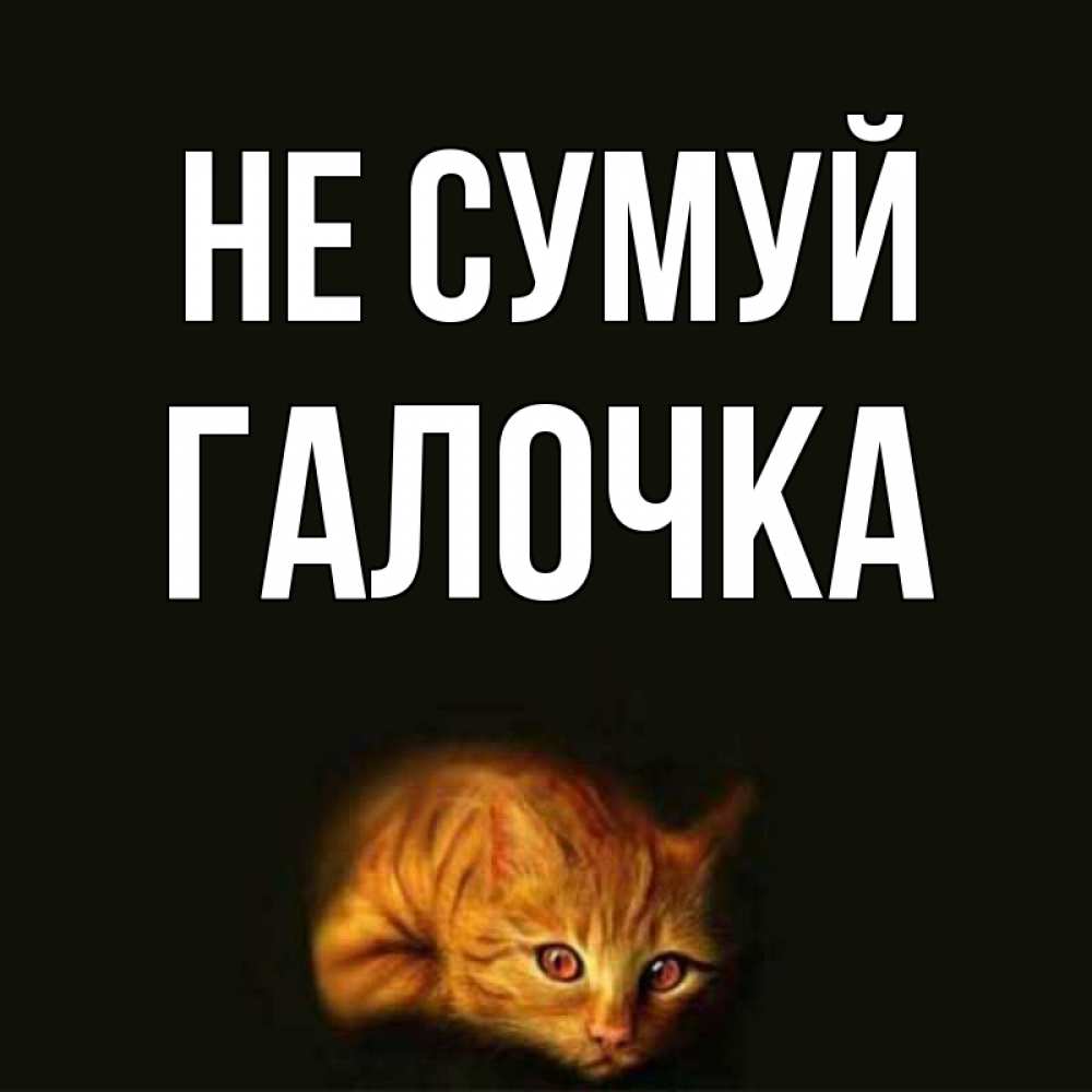 Открытка на каждый день з підписом, Галочка Не сумуй лежащий кот в темноте Прикольна листівка з побажанням онлайн скачати безкоштовно 